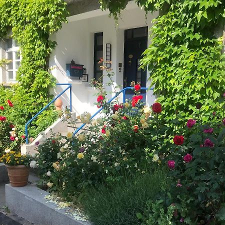 Kunsthaus Mit Gartensauna Dierdorf Kültér fotó
