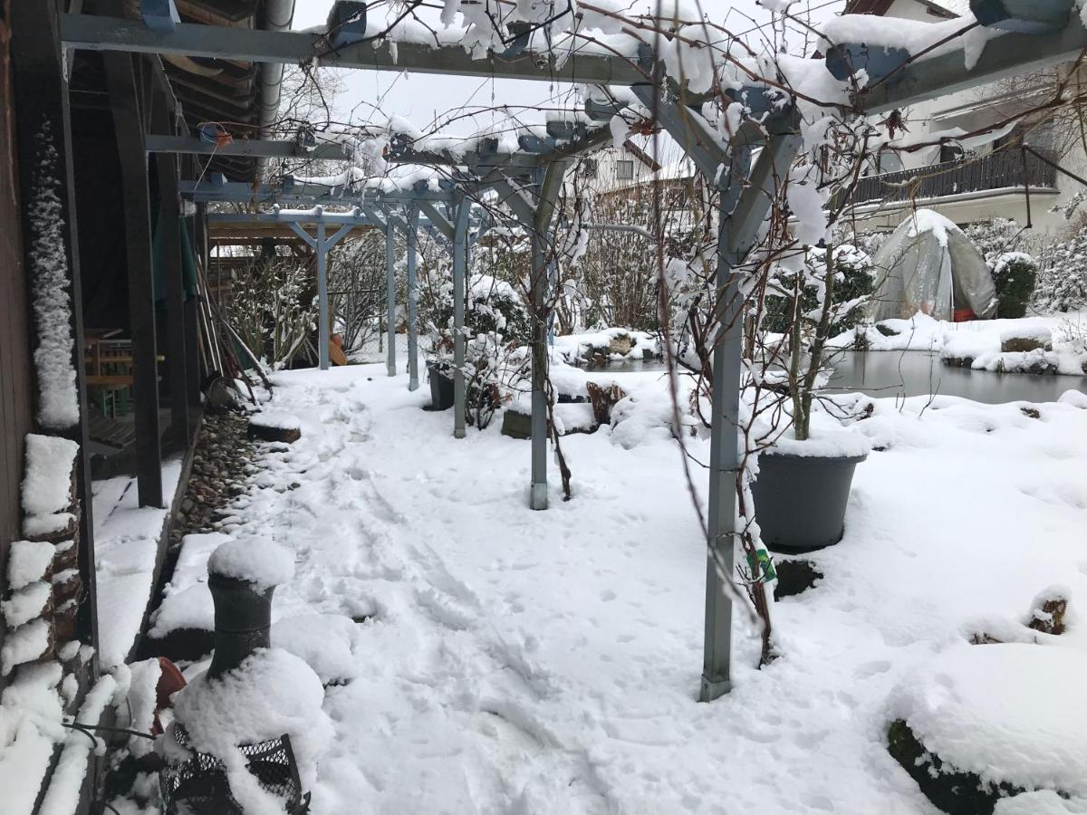Kunsthaus Mit Gartensauna Dierdorf Kültér fotó