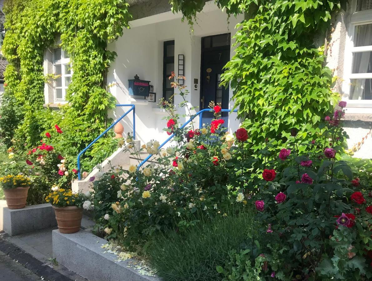 Kunsthaus Mit Gartensauna Dierdorf Kültér fotó