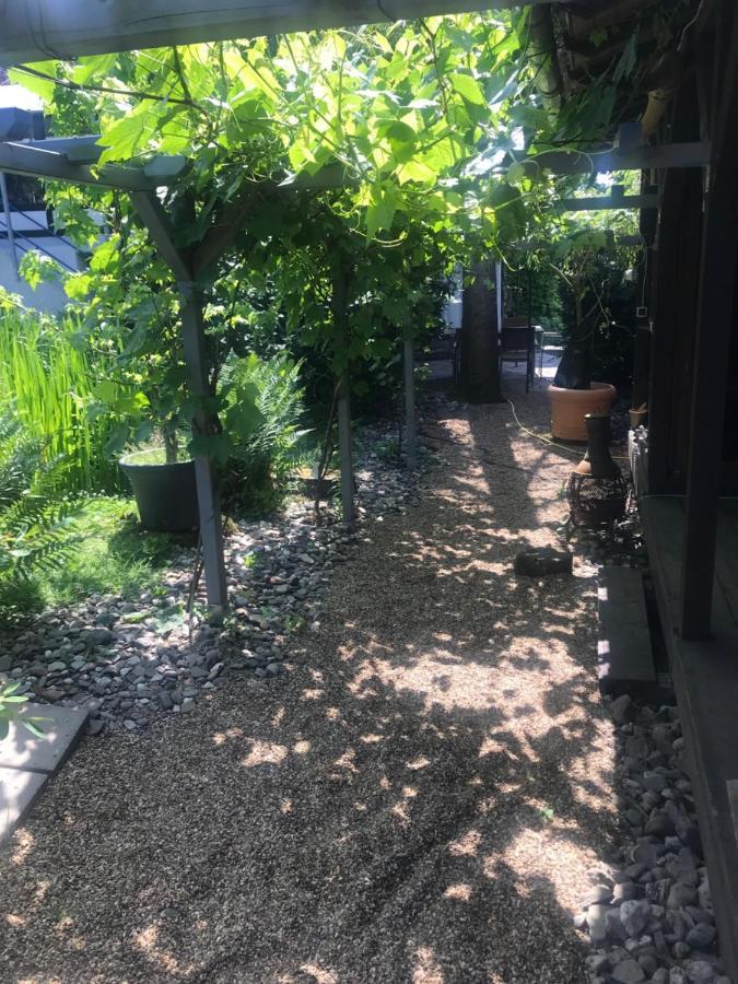 Kunsthaus Mit Gartensauna Dierdorf Kültér fotó